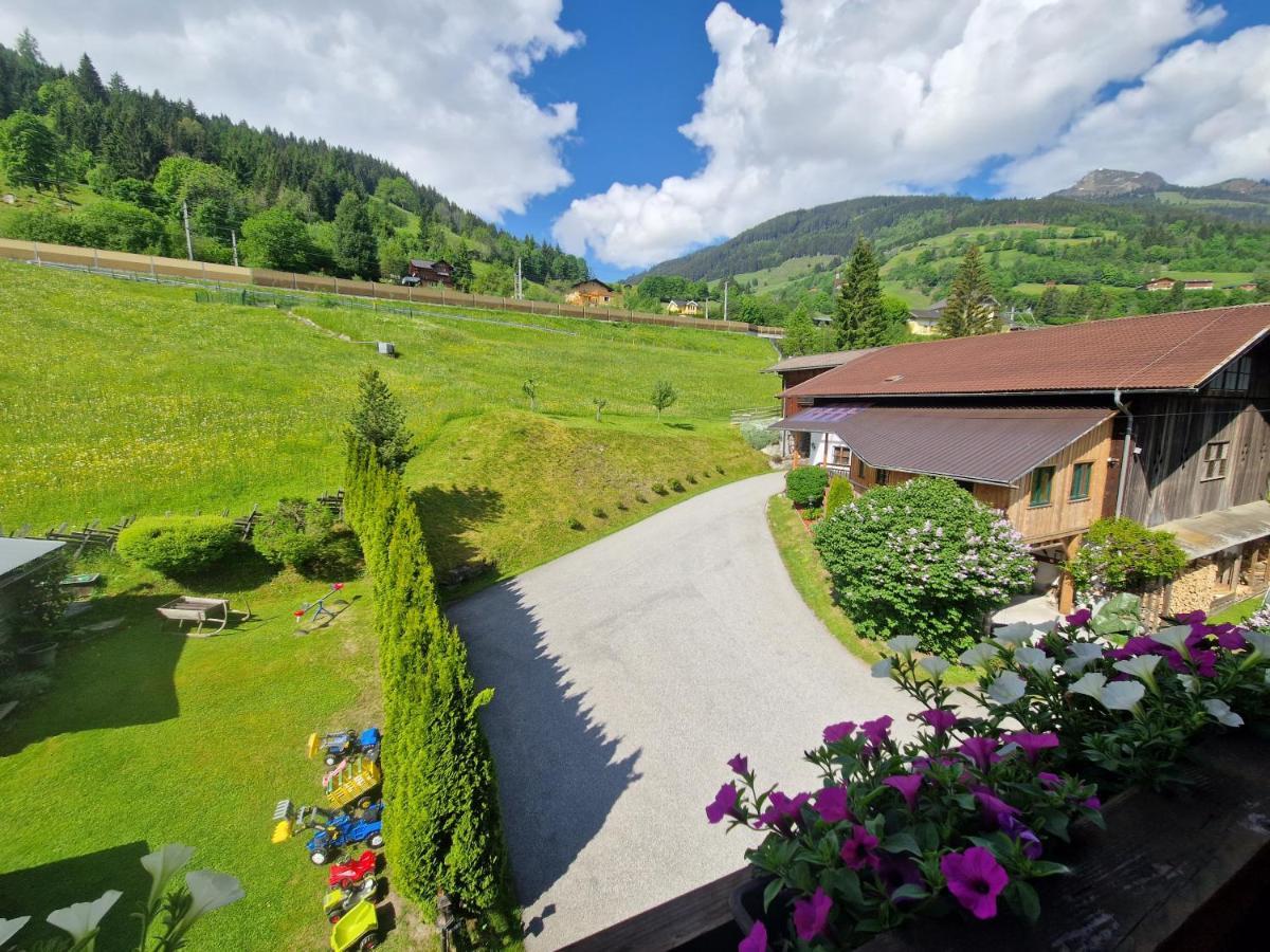 Urlaub Am Krausberghof, Apartment Mit Balkon Und Parkplatz, Inmitten Der Natur, Sauna Und Infrarotkabine, Kostenfreie Kaffeekapseln, 6 Fahrminuten Zur Alpentherme Gastein Und Zur Schlossalmbahn, Spielplatz Bad Hofgastein Exterior foto
